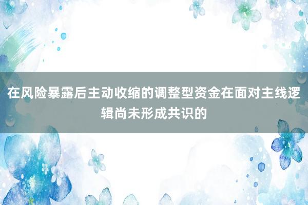 在风险暴露后主动收缩的调整型资金在面对主线逻辑尚未形成共识的