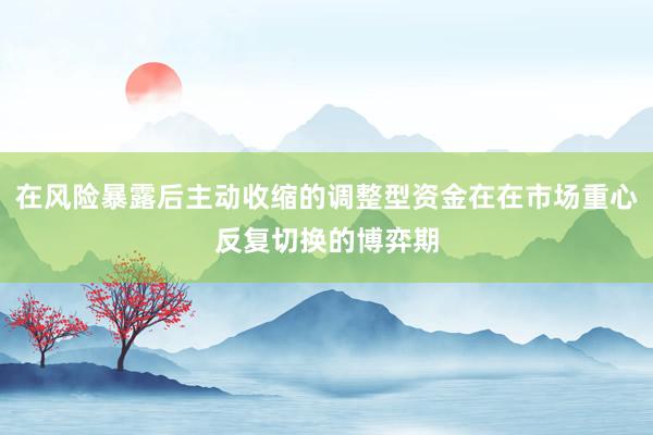 在风险暴露后主动收缩的调整型资金在在市场重心反复切换的博弈期