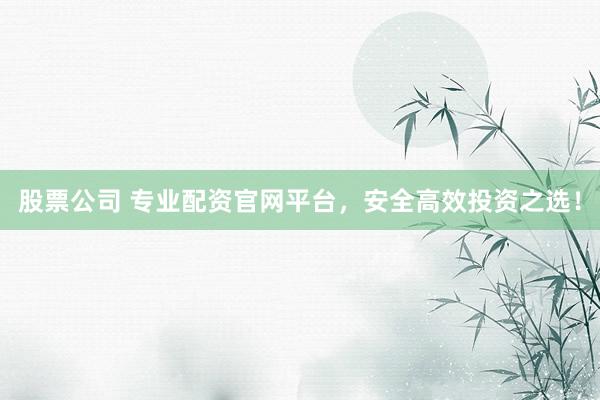 股票公司 专业配资官网平台，安全高效投资之选！